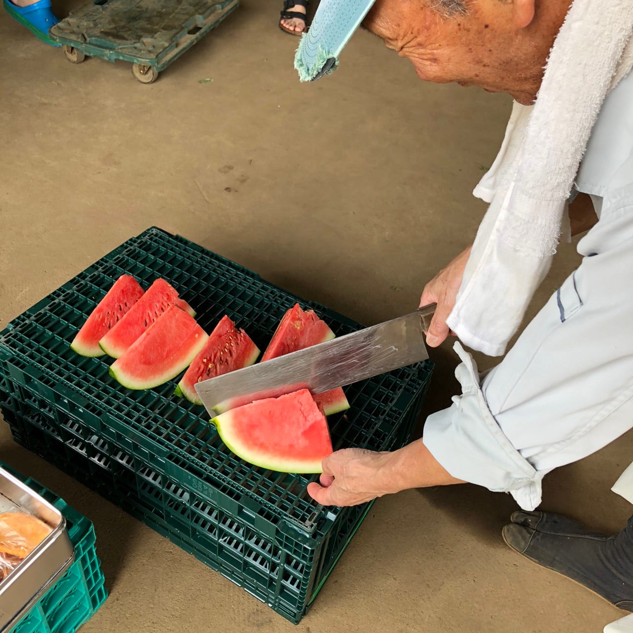 恵みの里：収穫したすいかを切り分ける生産者