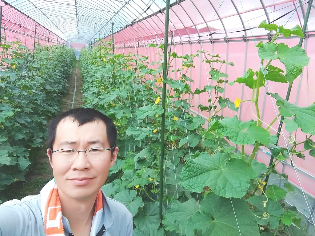サニーファーム（笠井農園）：きゅうりの温室で笑顔を見せるサニーファームの生産者